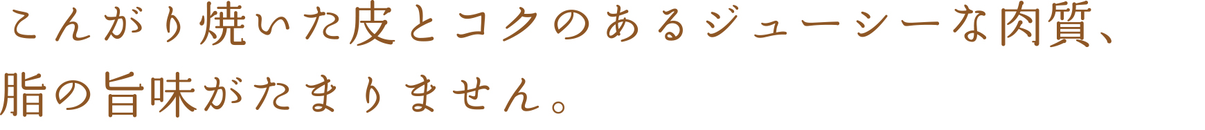 こんがり焼いた皮とジューシーな肉質